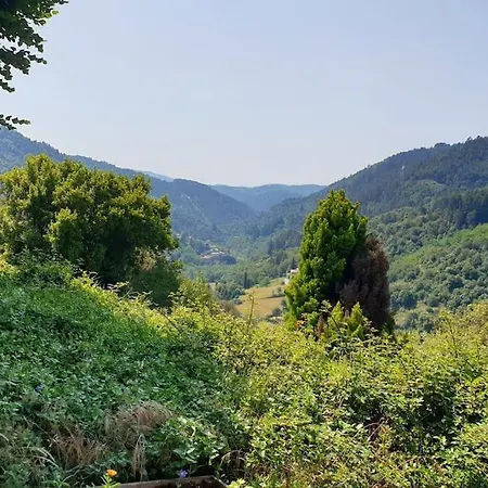 Deux Pieces Dans Une Maison Individuelle * Gluiras